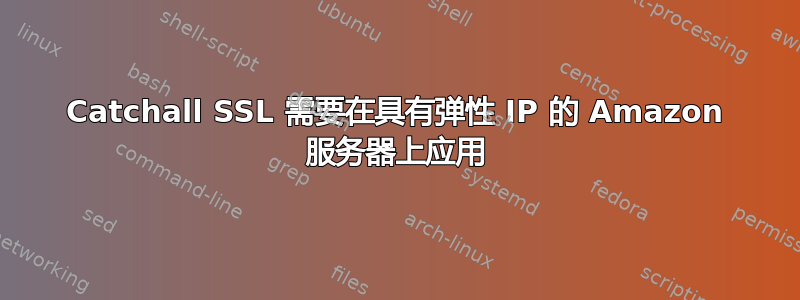 Catchall SSL 需要在具有弹性 IP 的 Amazon 服务器上应用