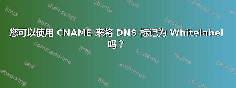 您可以使用 CNAME 来将 DNS 标记为 Whitelabel 吗？