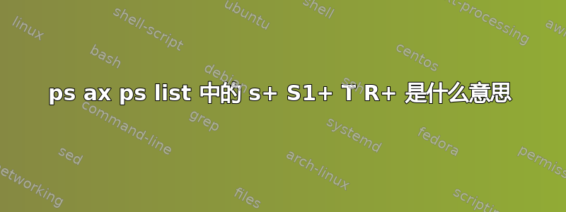 ps ax ps list 中的 s+ S1+ T R+ 是什么意思