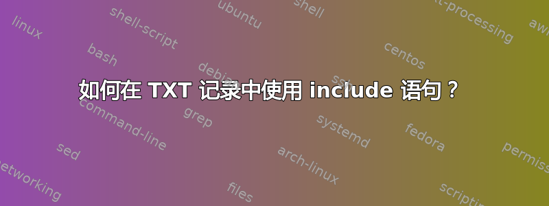 如何在 TXT 记录中使用 include 语句？