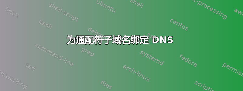 为通配符子域名绑定 DNS