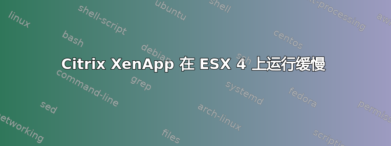 Citrix XenApp 在 ESX 4 上运行缓慢