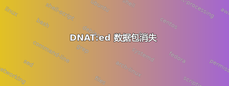 DNAT:ed 数据包消失