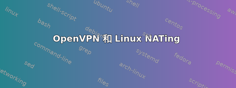 OpenVPN 和 Linux NATing