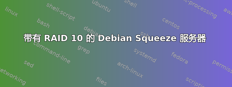 带有 RAID 10 的 Debian Squeeze 服务器