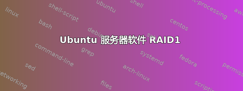 Ubuntu 服务器软件 RAID1