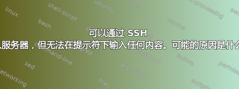 可以通过 SSH 进入服务器，但无法在提示符下输入任何内容。可能的原因是什么？