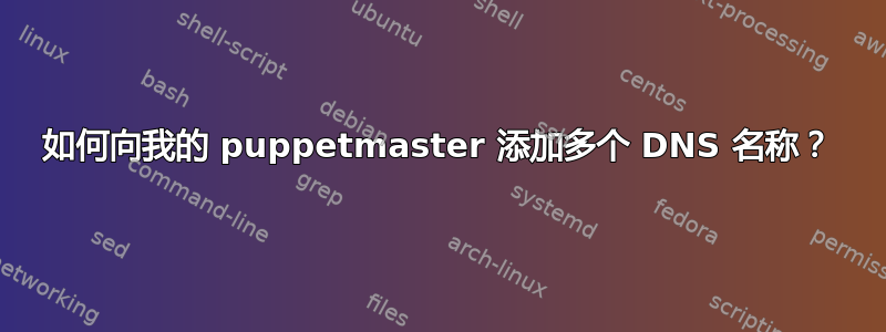 如何向我的 puppetmaster 添加多个 DNS 名称？