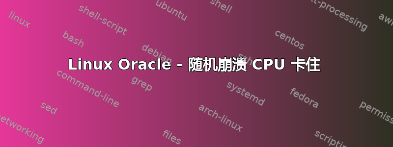 Linux Oracle - 随机崩溃 CPU 卡住