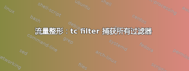 流量整形：tc filter 捕获所有过滤器