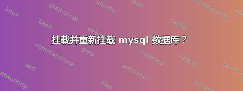 挂载并重新挂载 mysql 数据库？