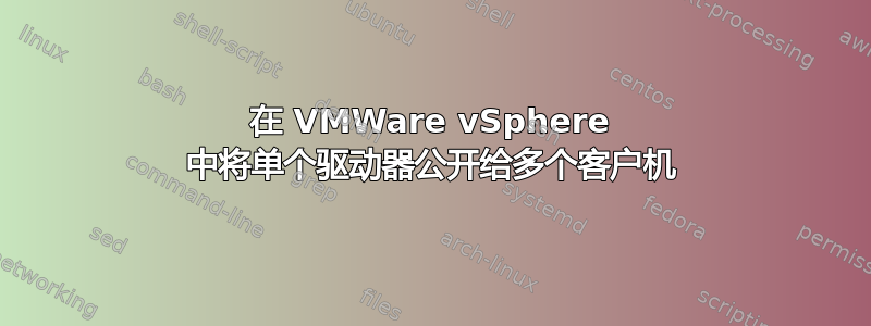 在 VMWare vSphere 中将单个驱动器公开给多个客户机