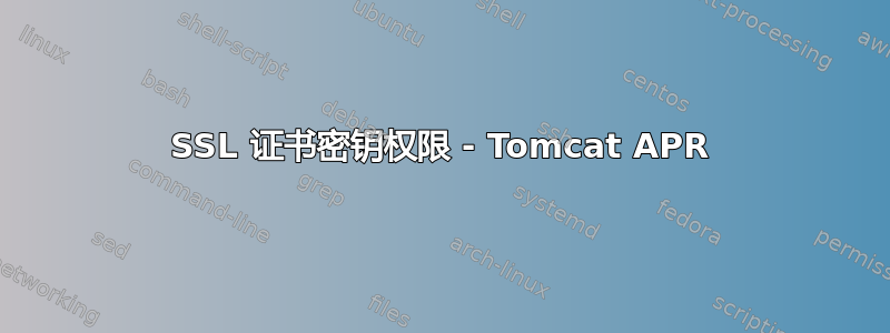 SSL 证书密钥权限 - Tomcat APR