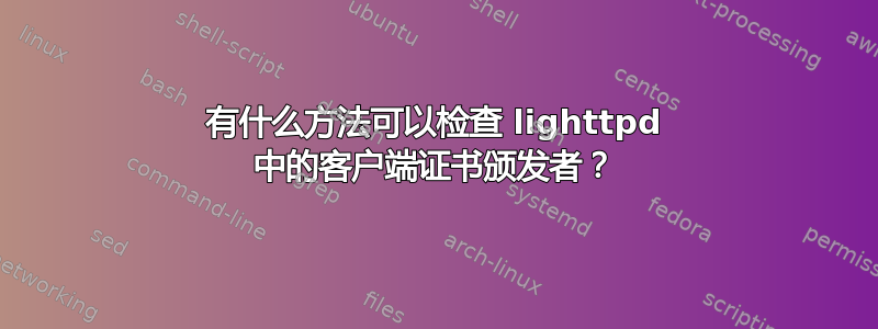 有什么方法可以检查 lighttpd 中的客户端证书颁发者？