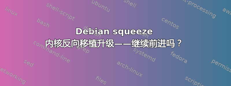 Debian squeeze 内核反向移植升级——继续前进吗？