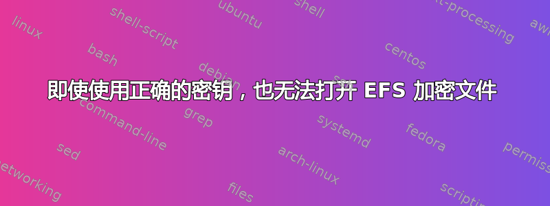 即使使用正确的密钥，也无法打开 EFS 加密文件