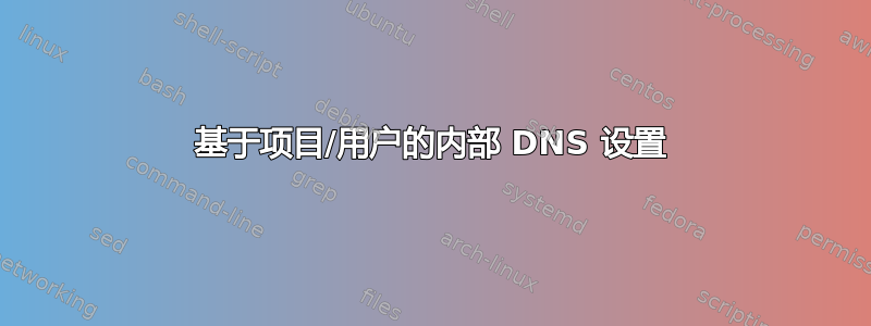 基于项目/用户的内部 DNS 设置