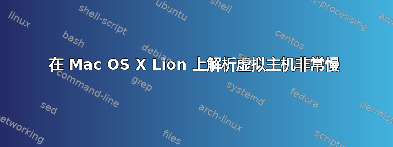 在 Mac OS X Lion 上解析虚拟主机非常慢