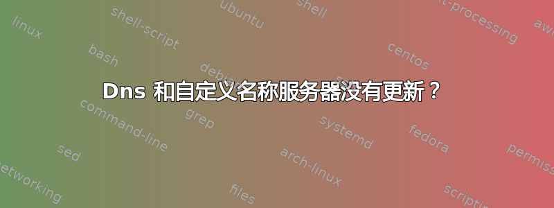 Dns 和自定义名称服务器没有更新？