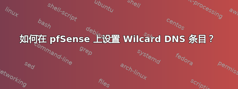 如何在 pfSense 上设置 Wilcard DNS 条目？