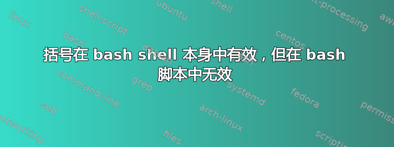 括号在 bash shell 本身中有效，但在 bash 脚本中无效