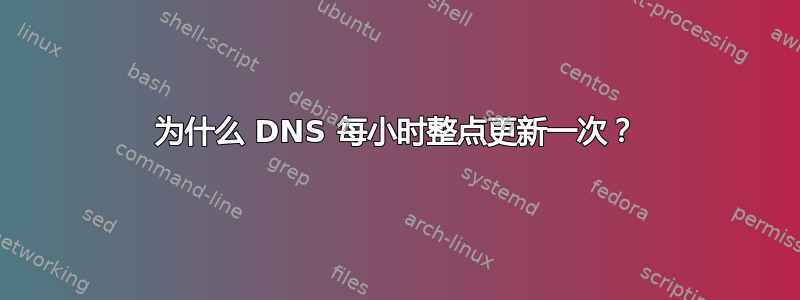 为什么 DNS 每小时整点更新一次？