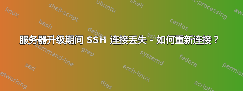 服务器升级期间 SSH 连接丢失 - 如何重新连接？