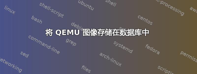 将 QEMU 图像存储在数据库中