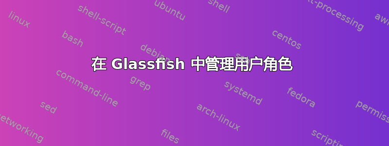 在 Glassfish 中管理用户角色