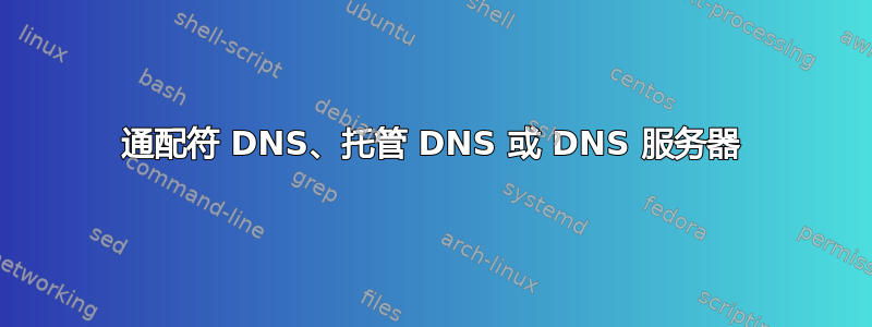 通配符 DNS、托管 DNS 或 DNS 服务器