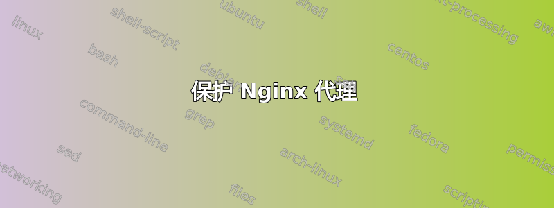 保护 Nginx 代理