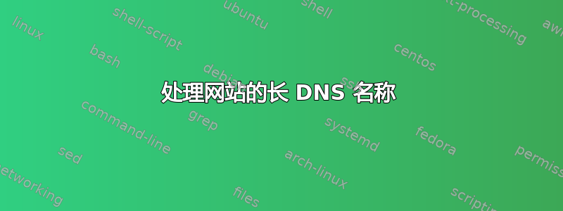 处理网站的长 DNS 名称