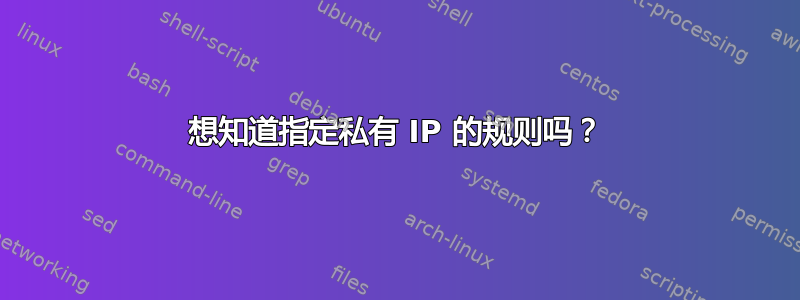 想知道指定私有 IP 的规则吗？