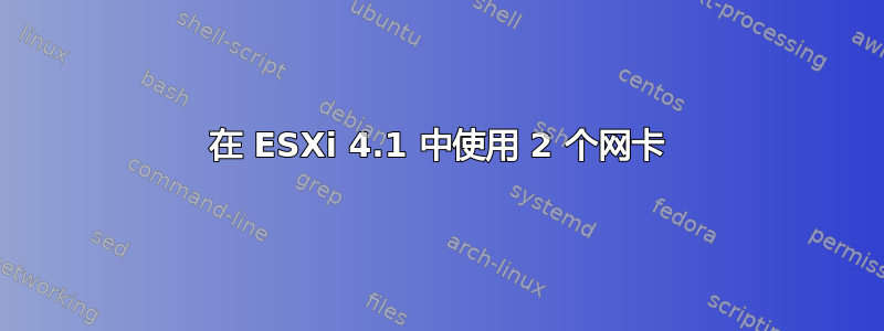 在 ESXi 4.1 中使用 2 个网卡