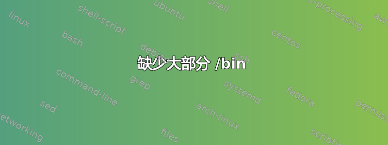 缺少大部分 /bin