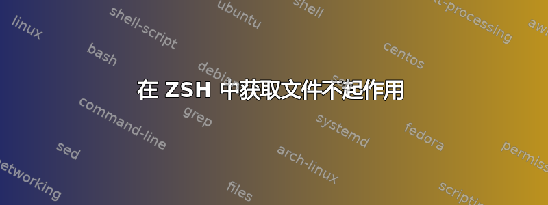 在 ZSH 中获取文件不起作用