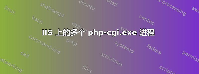 IIS 上的多个 php-cgi.exe 进程