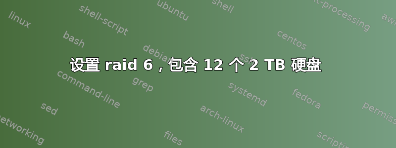 设置 raid 6，包含 12 个 2 TB 硬盘