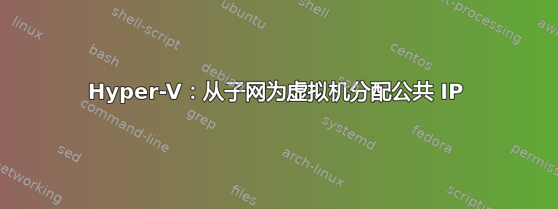 Hyper-V：从子网为虚拟机分配公共 IP