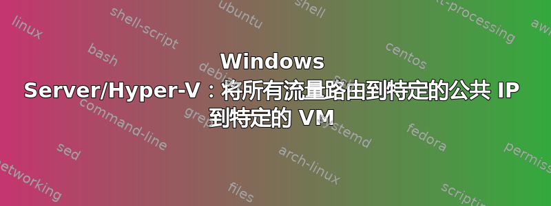 Windows Server/Hyper-V：将所有流量路由到特定的公共 IP 到特定的 VM