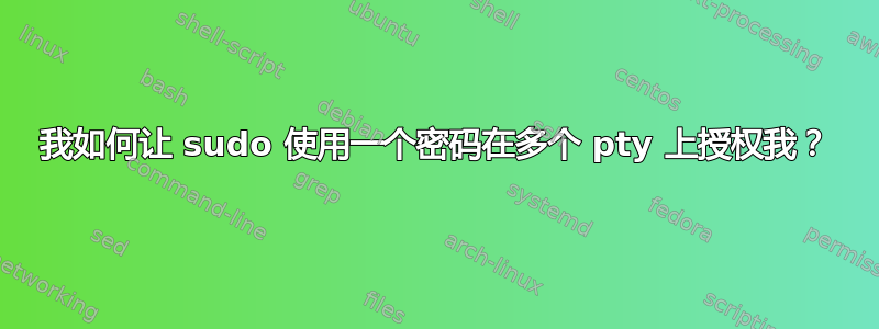 我如何让 sudo 使用一个密码在多个 pty 上授权我？