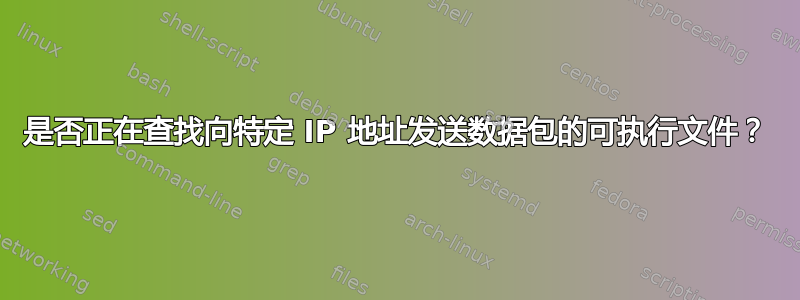 是否正在查找向特定 IP 地址发送数据包的可执行文件？