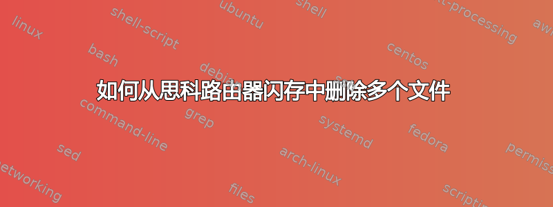 如何从思科路由器闪存中删除多个文件