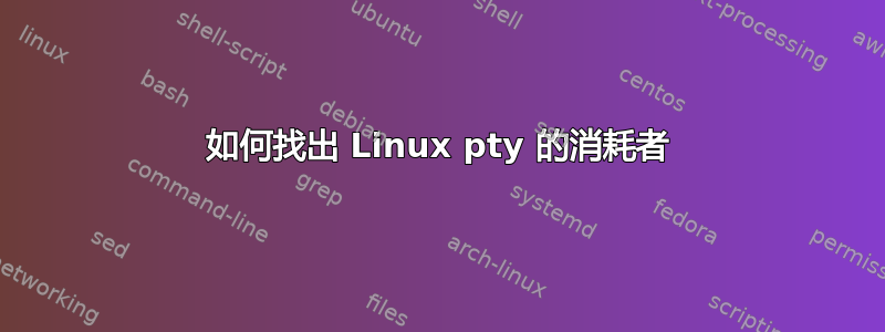 如何找出 Linux pty 的消耗者