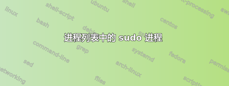 进程列表中的 sudo 进程