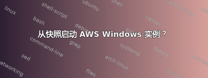 从快照启动 AWS Windows 实例？