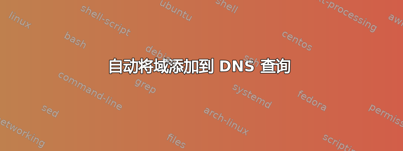 自动将域添加到 DNS 查询