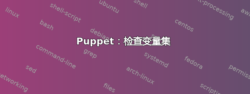 Puppet：检查变量集