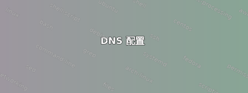 DNS 配置