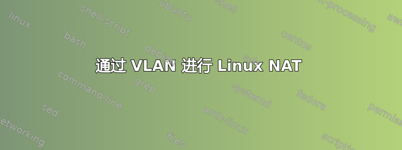 通过 VLAN 进行 Linux NAT